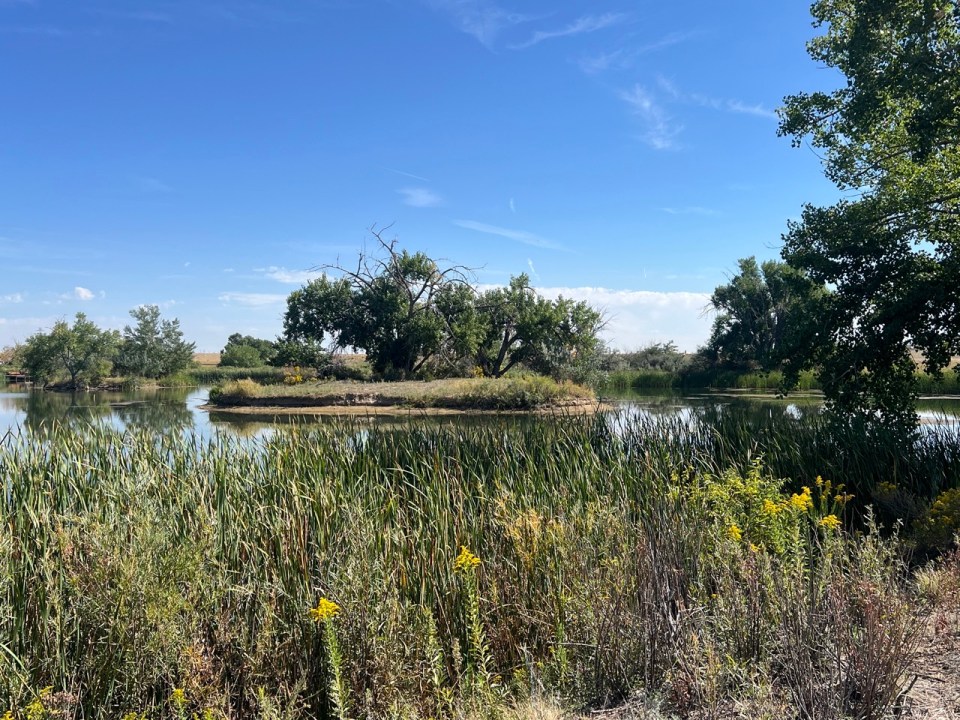 Lake Mary au Rocky Mountain Arsenal National Wildlife Refuge à Denver