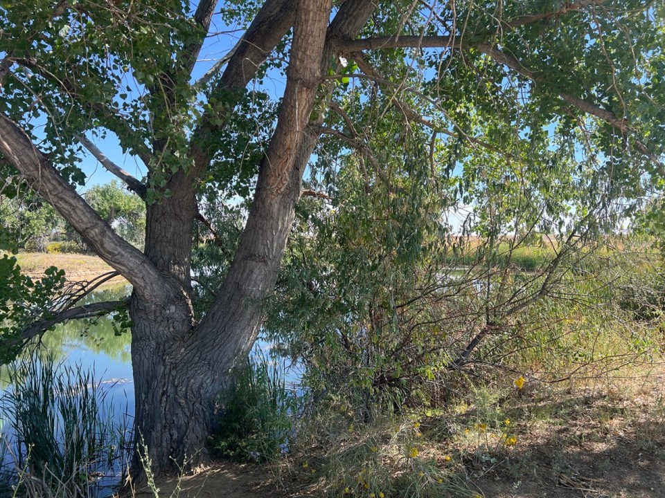 Lake Mary au Rocky Mountain Arsenal National Wildlife Refuge à Denver