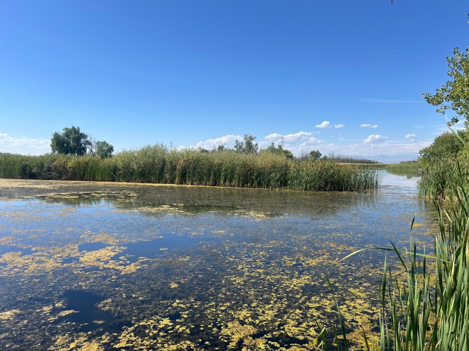 Lake Mary au Rocky Mountain Arsenal National Wildlife Refuge à Denver