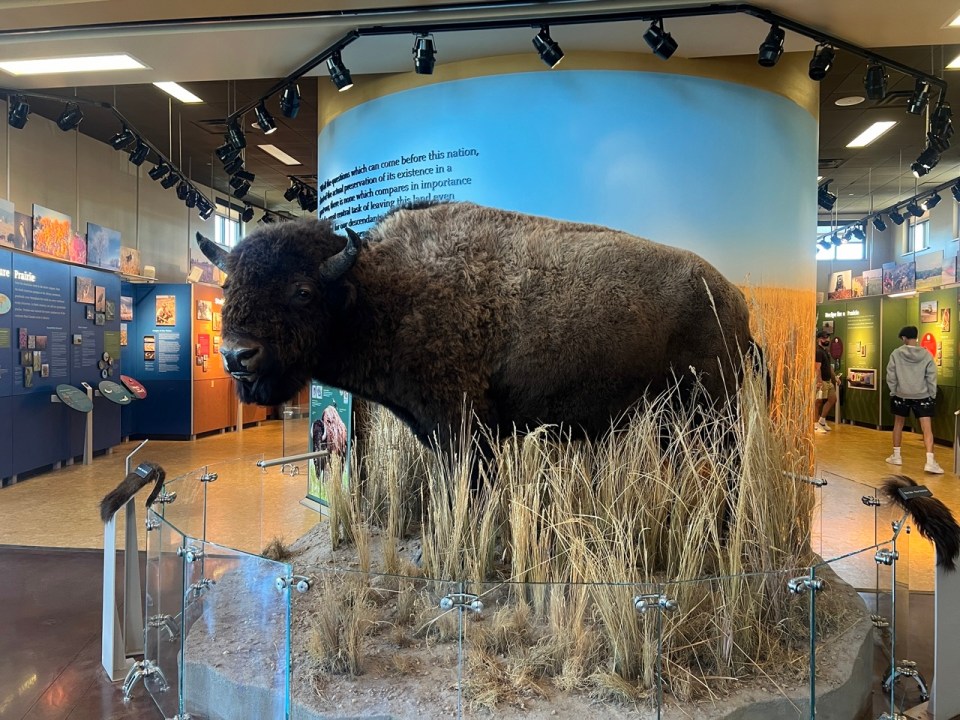 Rocky Mountain Arsenal National Wildlife Refuge à Denver