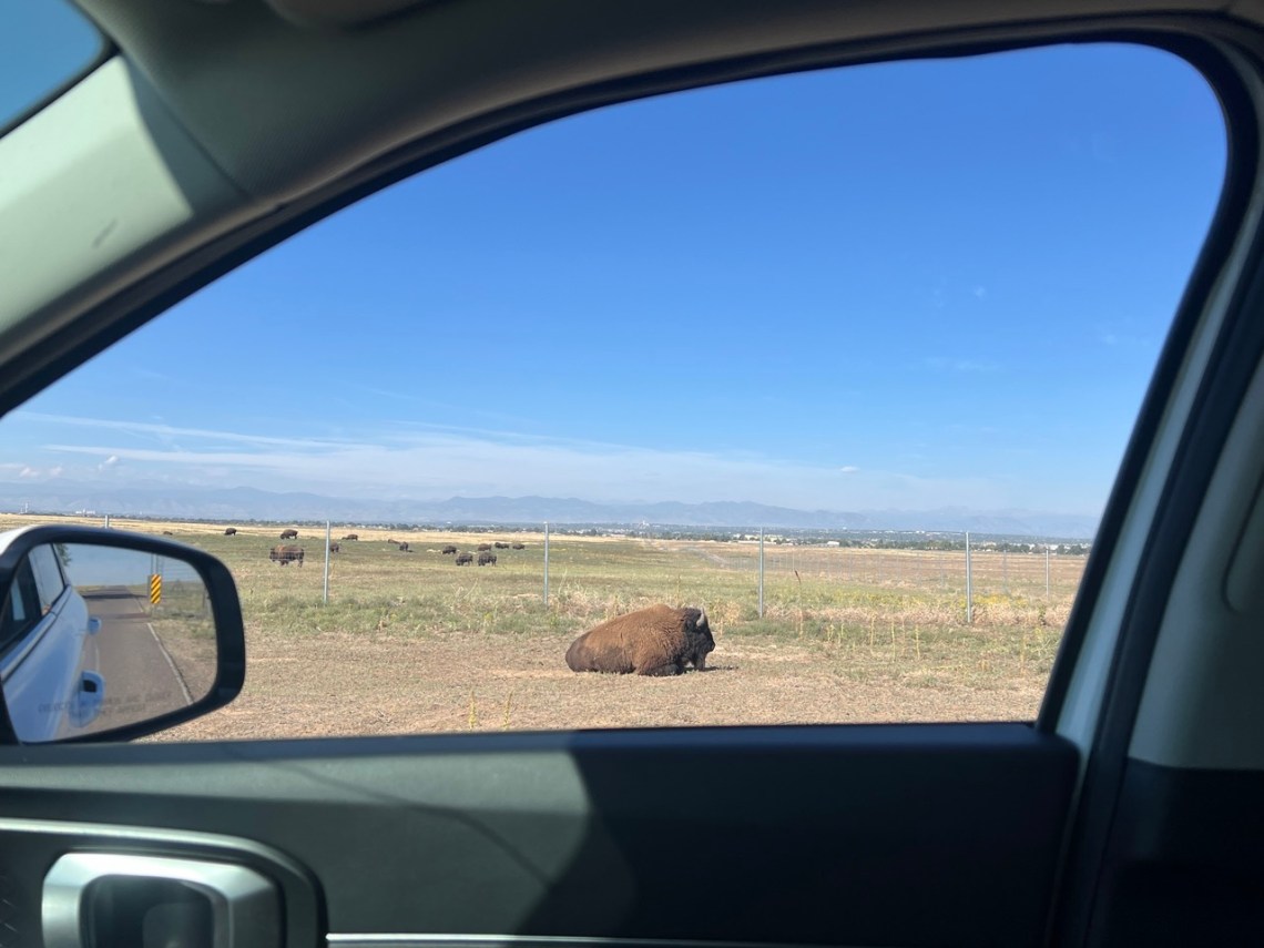 Rocky Mountain Arsenal National Wildlife Refuge à Denver