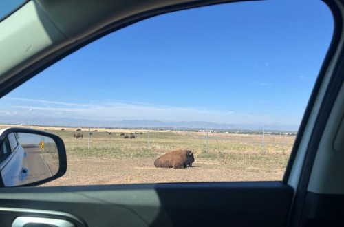 Rocky Mountain Arsenal National Wildlife Refuge à Denver