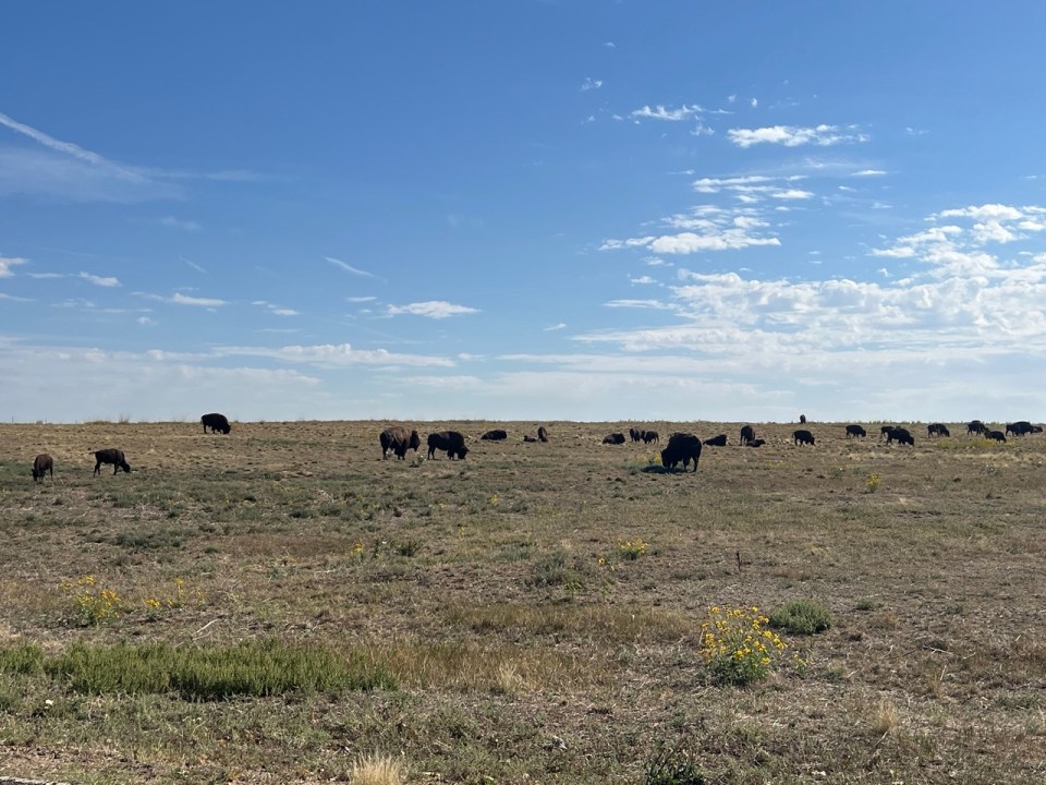 Rocky Mountain Arsenal National Wildlife Refuge à Denver