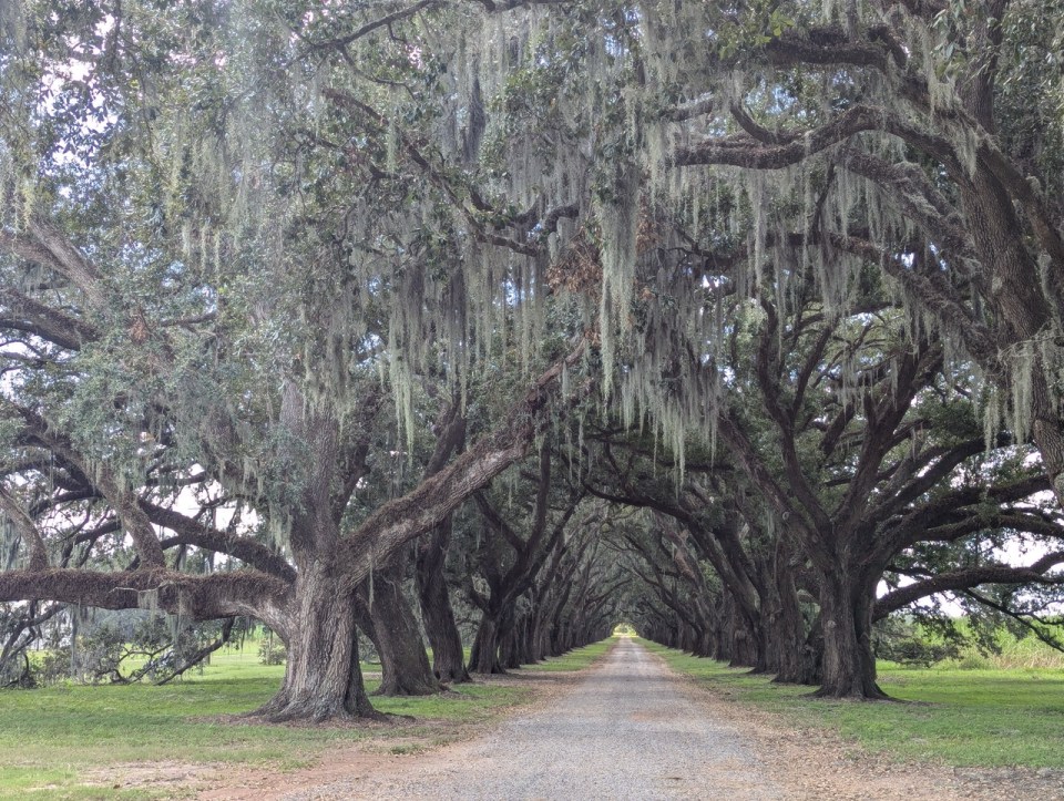 Evergreen Plantation en Louisiane
