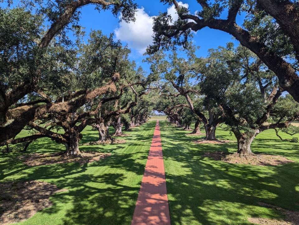 Oak Alley Plantation en Louisiane