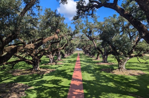 Oak Alley Plantation
