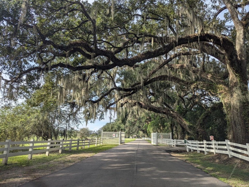 Rosedown Plantation State Historic Site