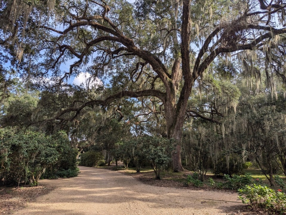 Rosedown Plantation State Historic Site