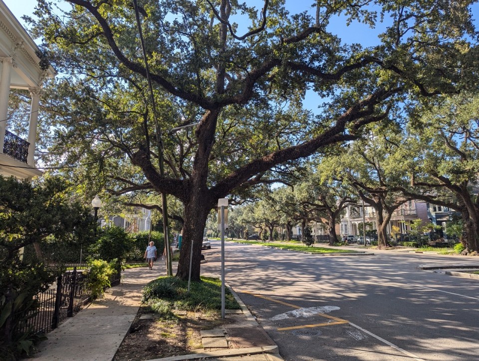 Garden District à la Nouvelle Orléans