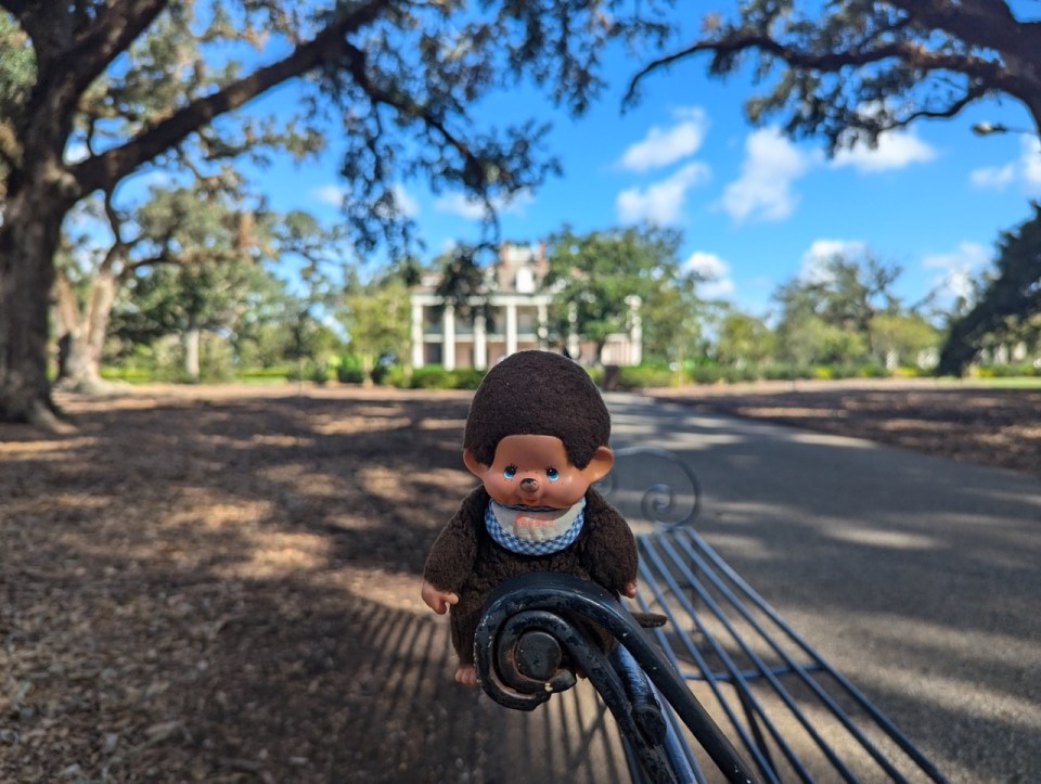 plantations en Louisiane