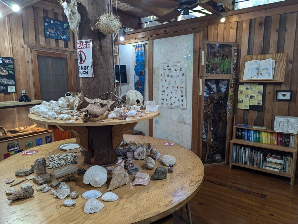 Acadiana Park Nature Station à Lafayette en Louisiane