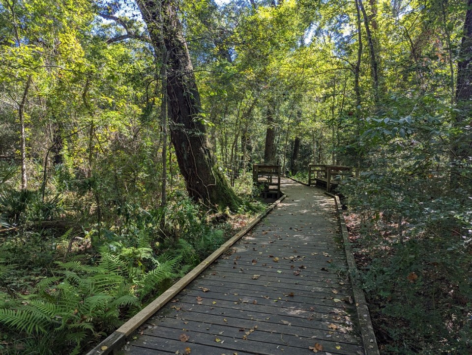 Acadiana Park Nature Station à Lafayette en Louisiane