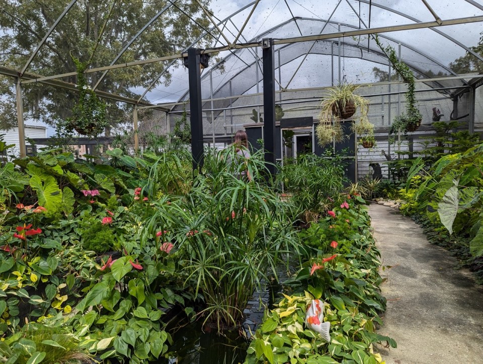 Butterfly cafe du Boones Hall Plantation and Gardens