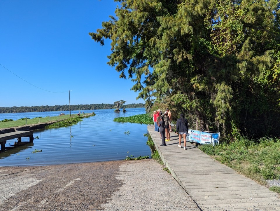 Cajun Country Swamp Tours au Lake Martin en Louisiane 