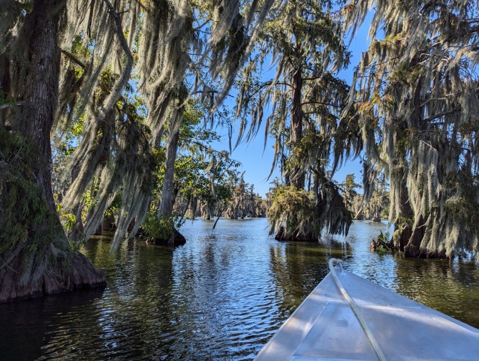 Cajun Country Swamp Tours au Lake Martin en Louisiane 