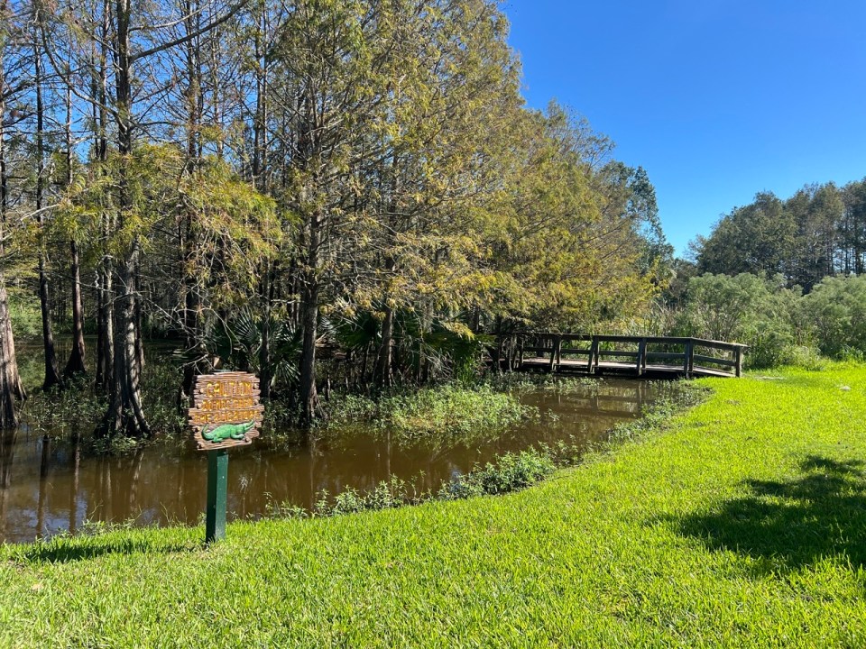 visite des Jungle Gardens à Avery Island en Louisiane