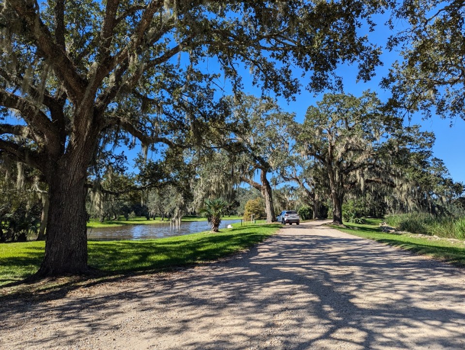 visite des Jungle Gardens à Avery Island en Louisiane