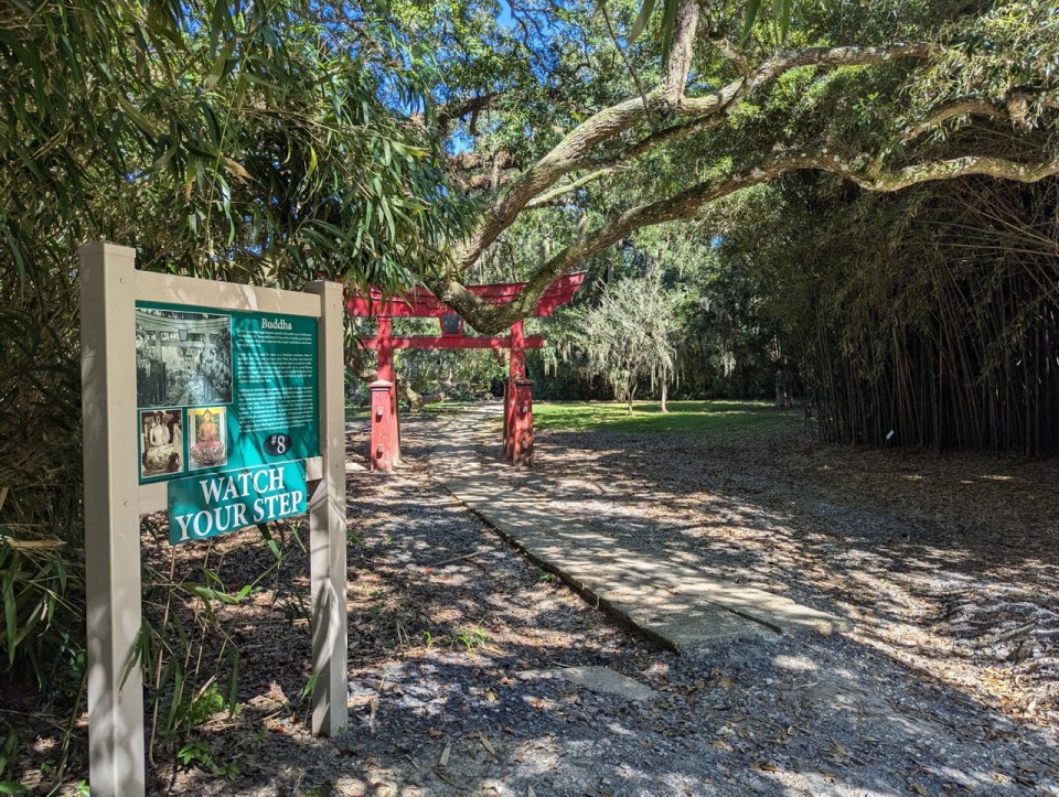 visite des Jungle Gardens à Avery Island en Louisiane