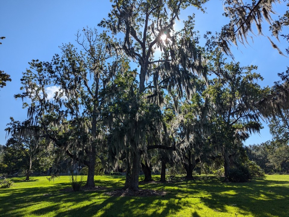 Longfellow-Evangeline State Historic Site à Saint Martinville