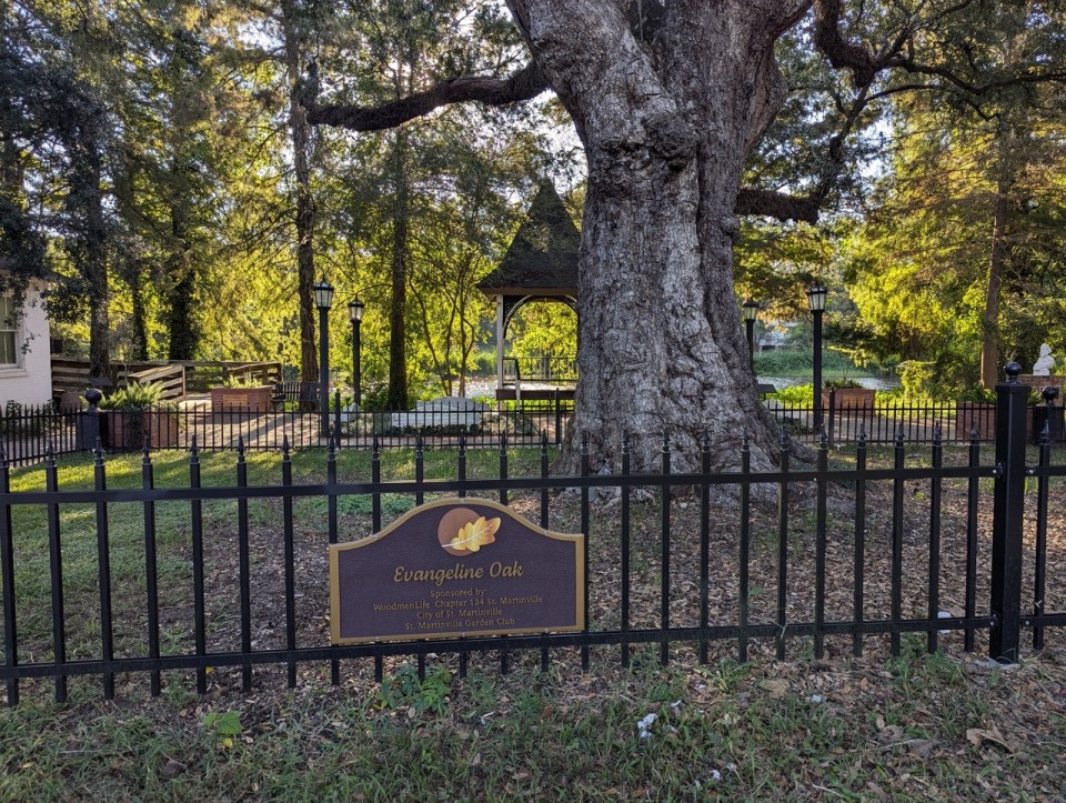 Evangeline Oak Saint-Martinville en Louisiane 