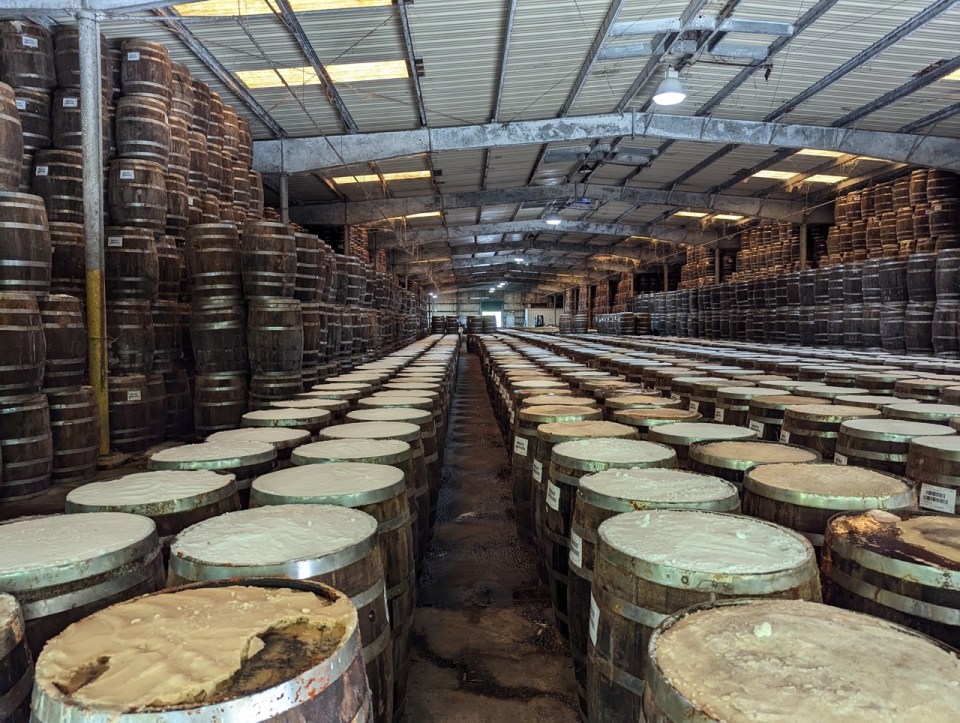 usine Tabasco de Avery Island