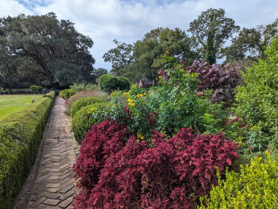 jardins du Boones Hall Plantation and Gardens
