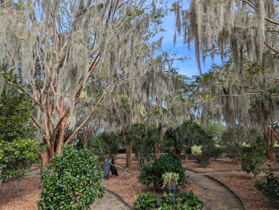 jardins du Boones Hall Plantation and Gardens