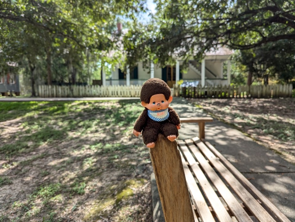 visiter la Louisiane en une semaine 