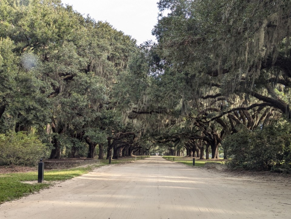 Boones Hall Plantation and Gardens