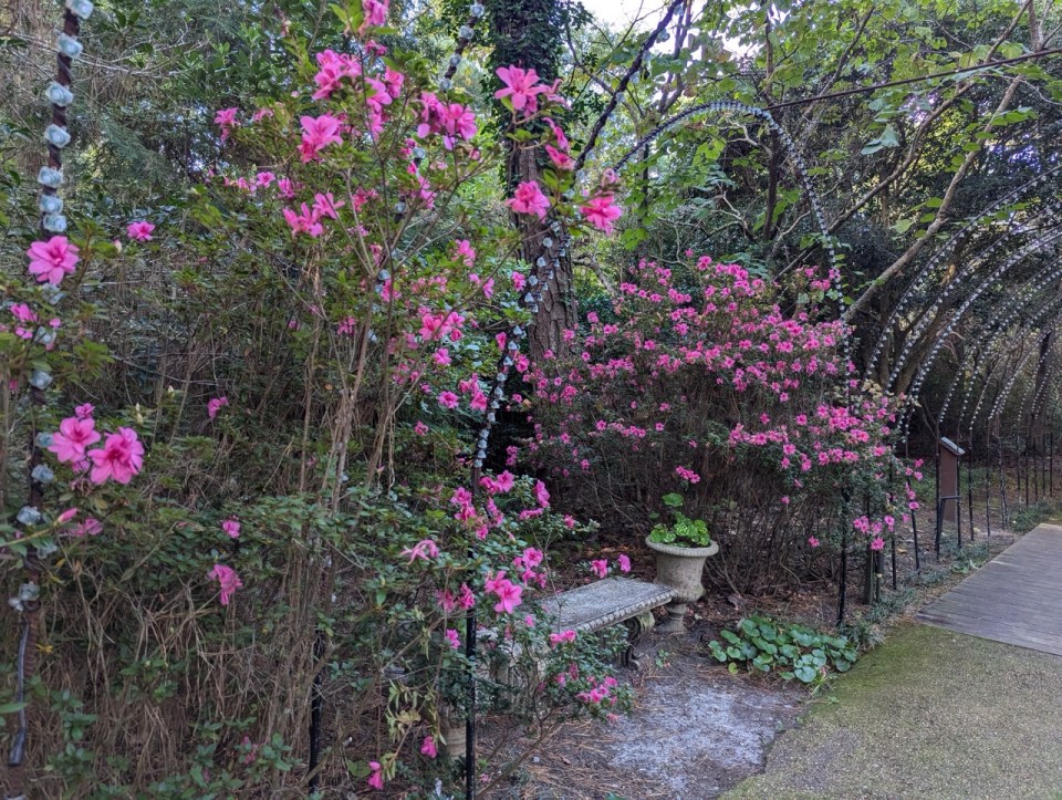 Elisabethan Gardens au Fort Raleigh National Historic Site à Manteo sur l'île de Roanoke dans les Outer Banks