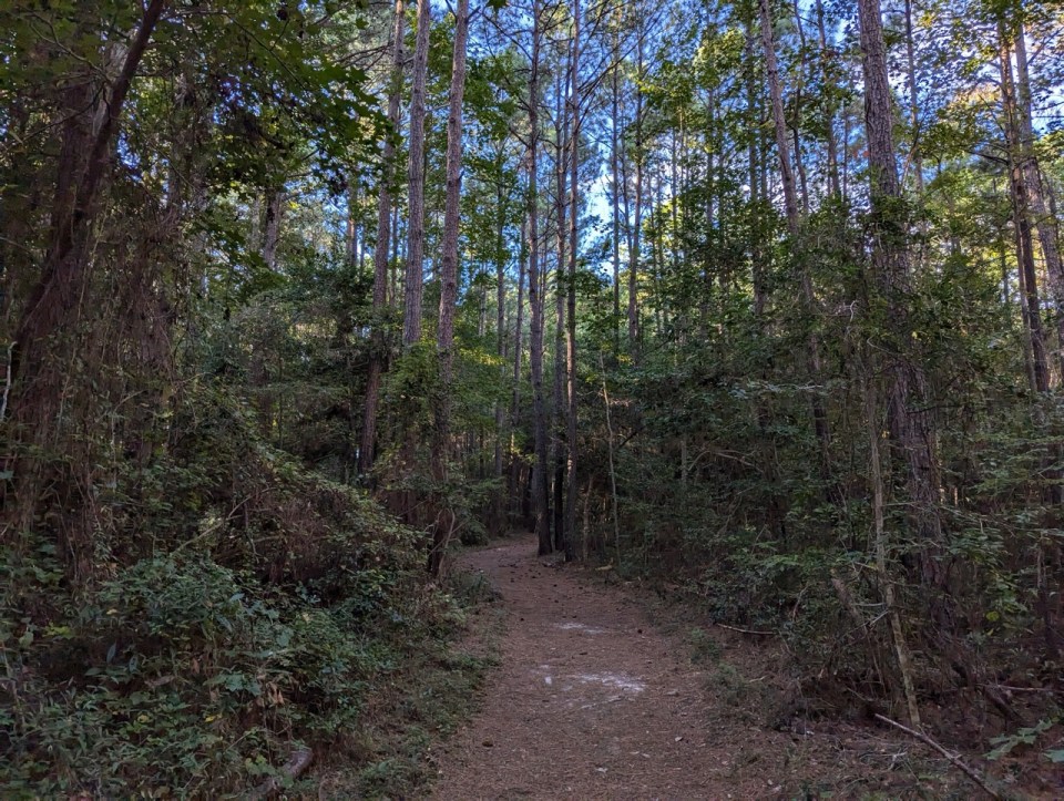 Randonnée Freedom Trail au Fort Raleigh National Historic Site à Manteo sur l'île de Roanoke dans les Outer Banks
