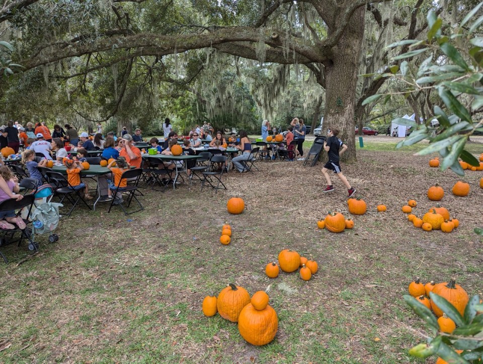 manger au Brookgreen Gardens à Myrtle Beach en Caroline du Sud