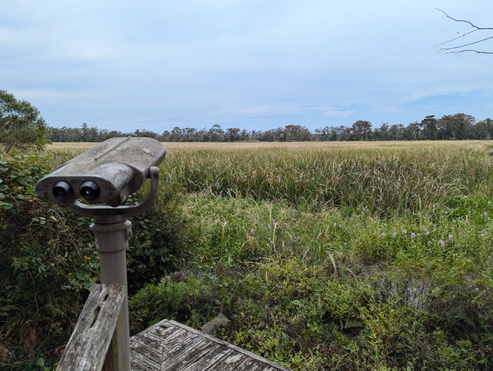 visite du Brookgreen Gardens à Myrtle Beach en Caroline du Sud