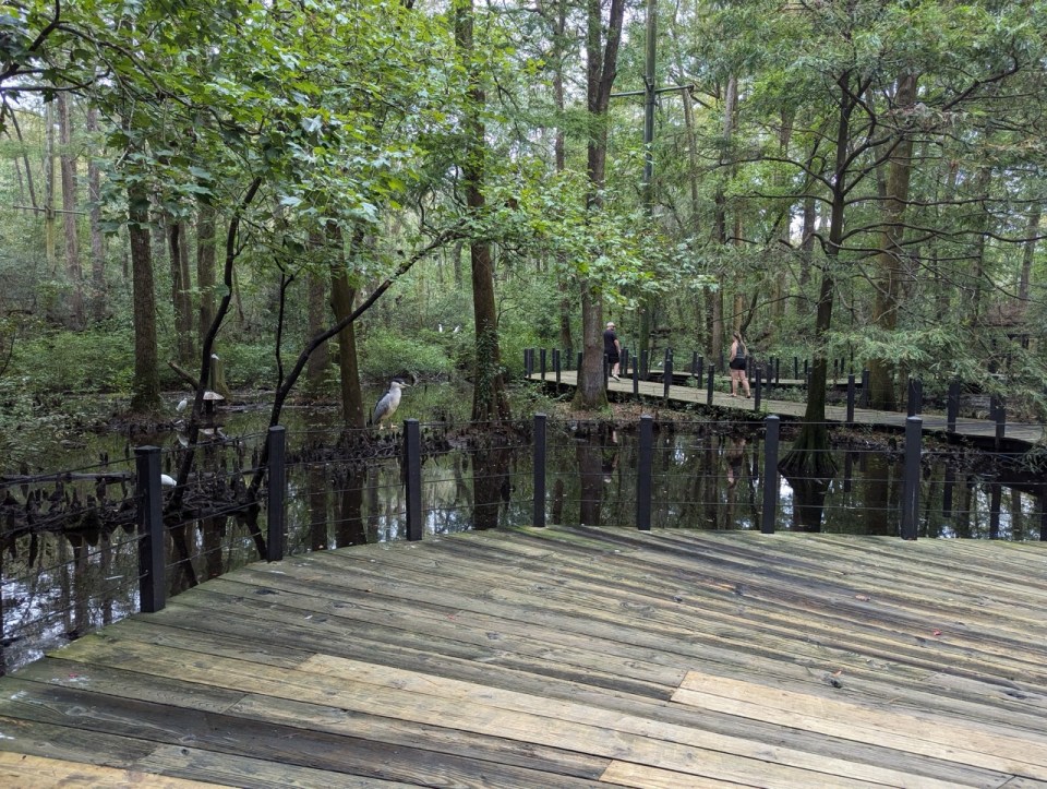 visite du Brookgreen Gardens à Myrtle Beach en Caroline du Sud