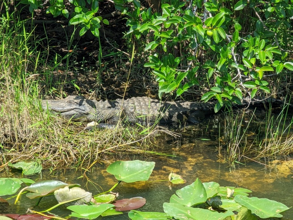 Everglades National Park