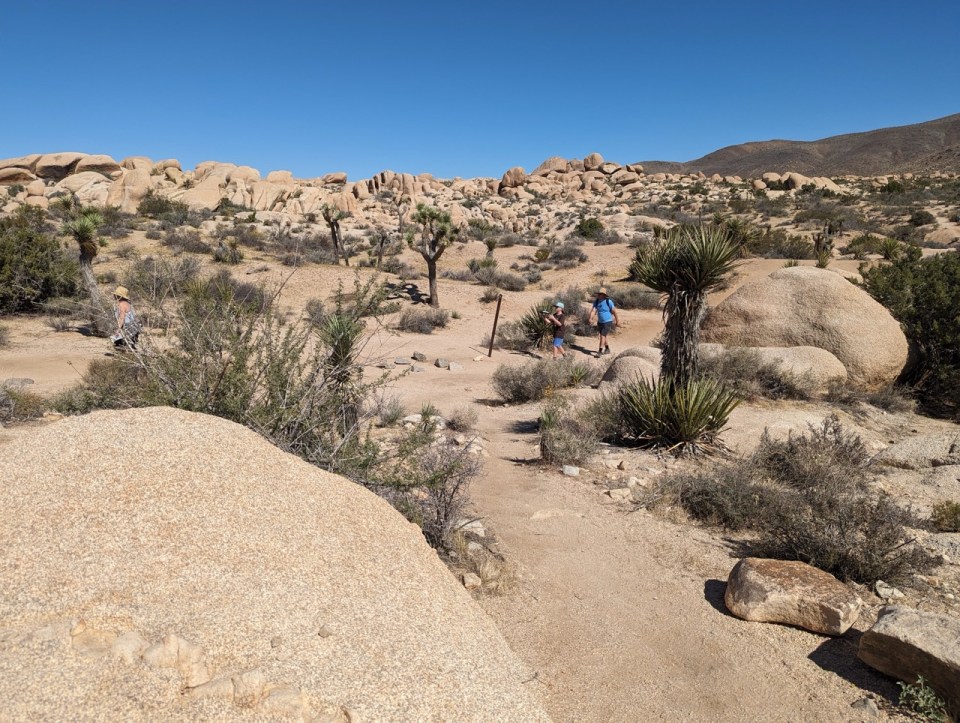 Joshua Tree National Park 