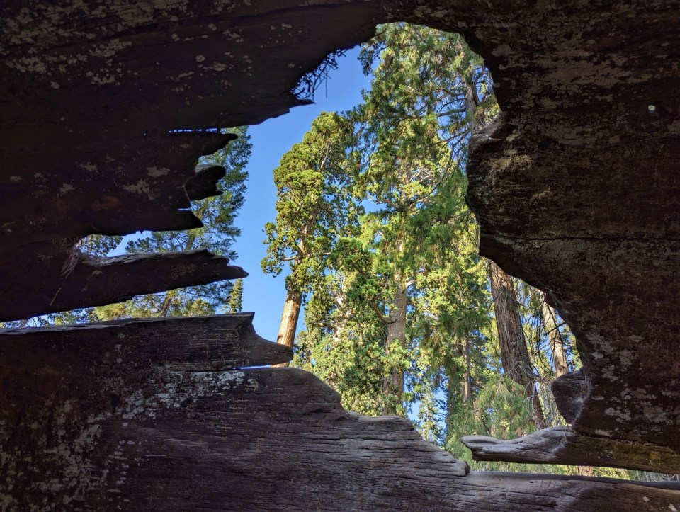 Kings Canyon National Park