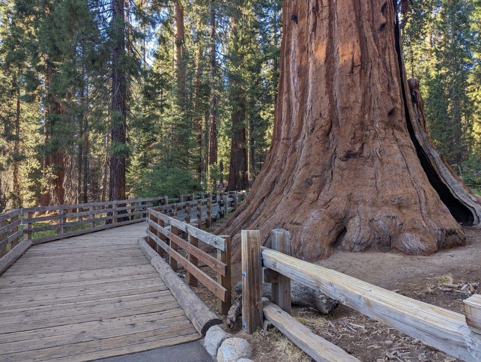 Sequoia National Park, l'un des plus beaux parcs américains