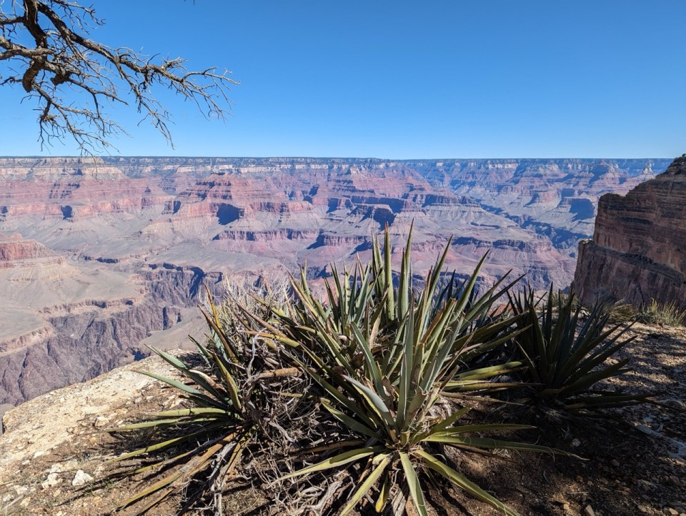 Grand Canyon, l'un des plus beaux parcs américains