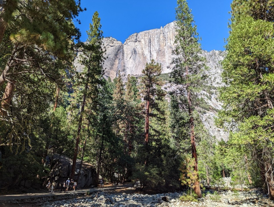 Yosemite National Park 