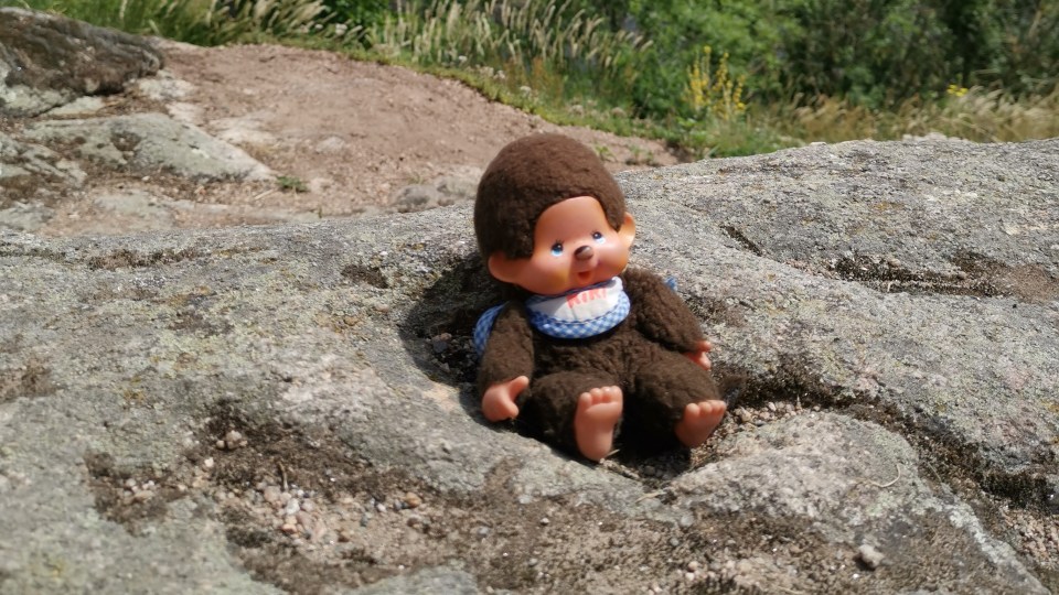 Kiki visite les châteaux dans la Loire