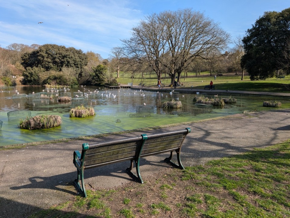 quartier de Kemptown à Brighton
