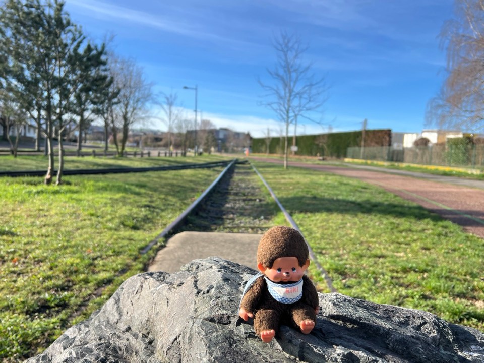 première ligne de chemin de fer entre Saint Etienne et Andrézieux 