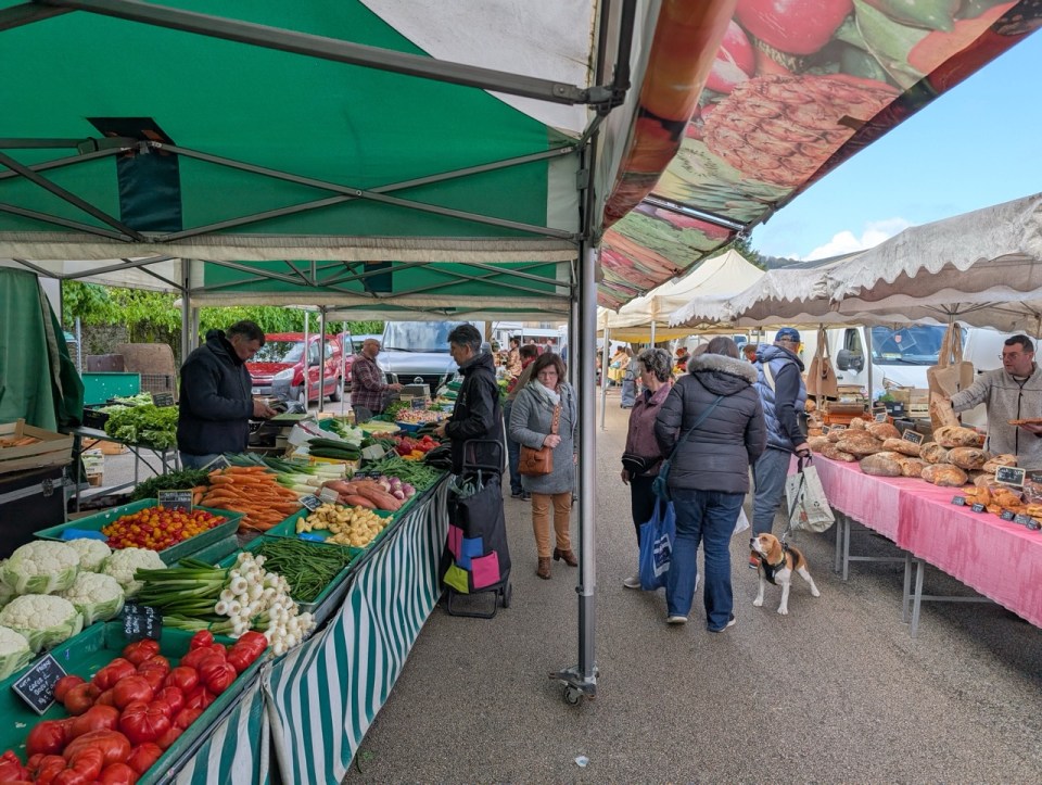 Arbois, ville de Pasteur dans le Jura