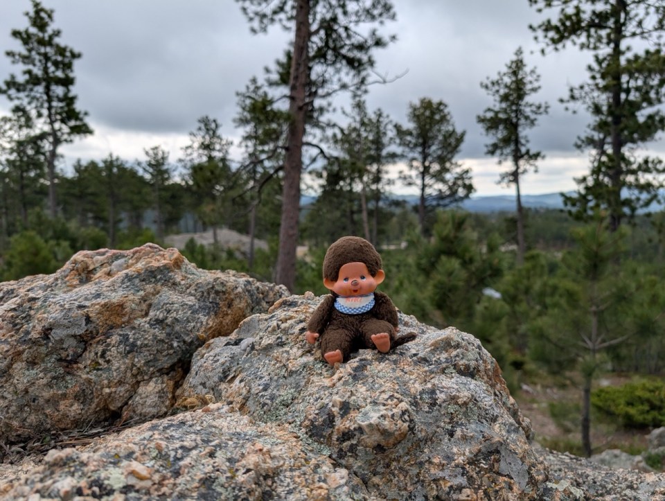 Kiki dans les Blacks Hills