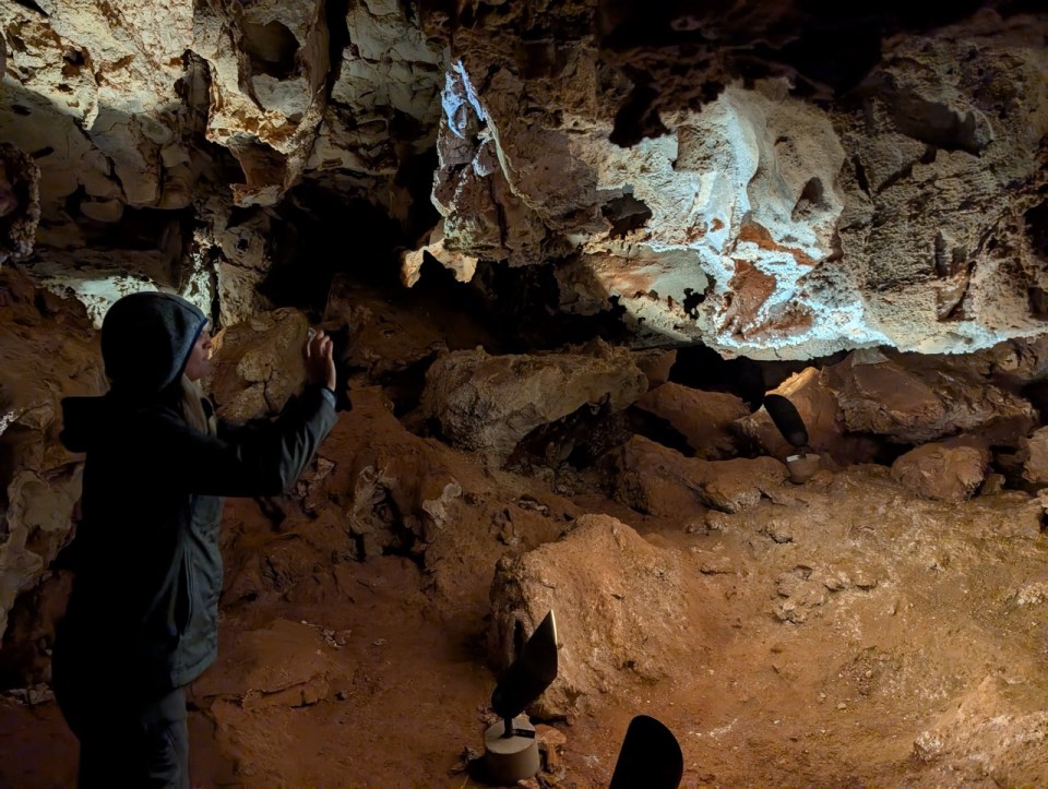 Wind Cave national Park dans les Black Hills