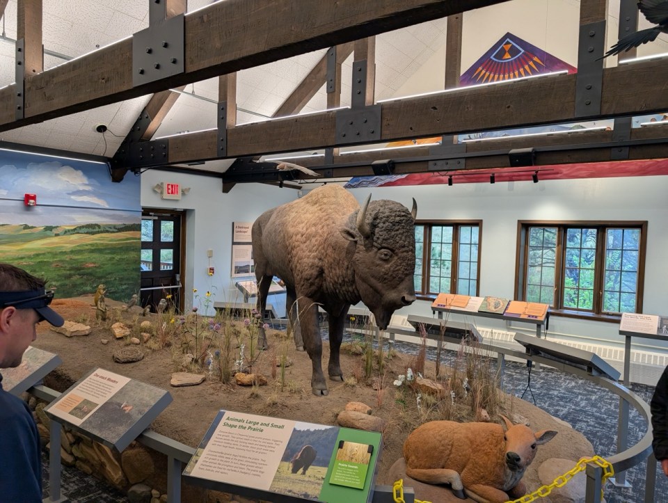 Wind Cave national Park 