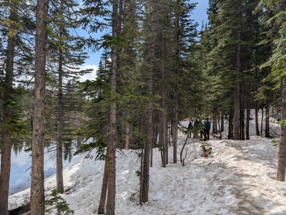 Bear Lake Trail dans Rocky Mountain National park