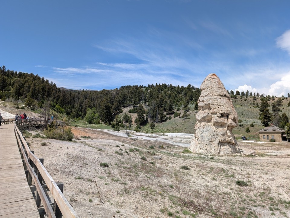 Lower Terraces à Mammoth Hot Spring