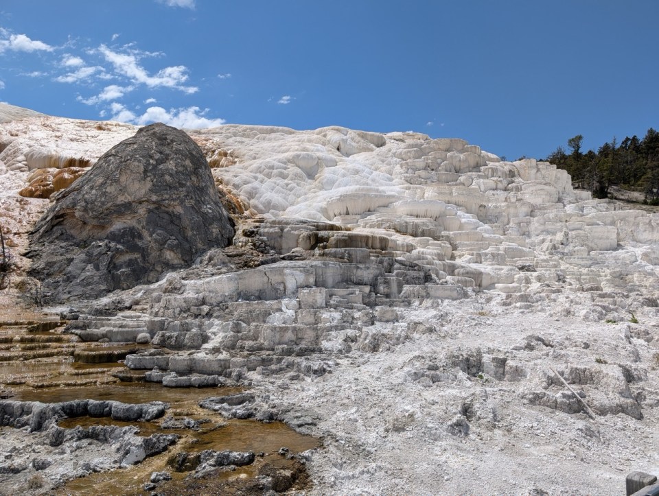 Lower Terraces à Mammoth Hot Spring
